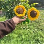 Crochet Sunflower