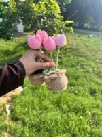 Tulip Flower Pot
